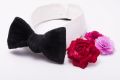 Black Silk Velvet Butterfly Bow Tie Self Tie Single End Handmade in England by Fort Belvedere with Boutonniere