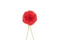 Tuxedo Red Mini Carnation Boutonniere Buttonhole Flower Fort Belvedere