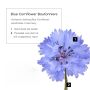 Blue Cornflower Boutonniere Buttonhole Flower Silk by Fort Belvedere