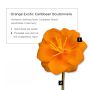 Orange Exotic Caribbean Boutonniere Buttonhole Flower Fort Belvedere