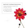 Red Exotic Caribbean Boutonniere Lapel Flower Fort Belvedere