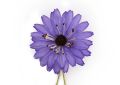 Violet Marguerite Silk Boutonniere Lapel Pin Flower Fort Belvedere