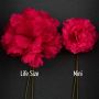 Dark Red Carnations - Life Size and Mini Boutonnieres, handmade by Fort Belvedere