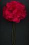 Dark Red Carnation Boutonniere Life Size Lapel Flower - Fort Belvedere