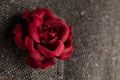 Red Silk Rose & Dark Red Velvet Rose Boutonniere Lapel Pin Flower by Fort Belvedere