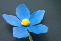 Light Blue Forget-Me-Not Boutonniere Buttonhole Flower Fort Belvedere