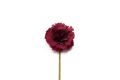 Burgundy Mini Carnation Silk Boutonniere Buttonhole Flower Fort Belvedere
