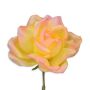 Peach Spray Rose Boutonniere Buttonhole Flower Fort Belvedere