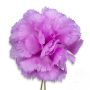 Pink Carnation Boutonniere Life Size Lapel Flower - Fort Belvedere