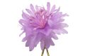 Light Purple Cornflower Boutonniere Buttonhole Flower Silk Fort Belvedere