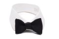 Small Single End Black Silk Moire Bow Tie Fort Belvedere on collar