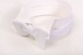 White Tie in Marcella Pique Bow Tie Single End Small on wing collar  - Fort Belvedere
