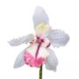 White Orchid Boutonniere Buttonhole Flower Fort Belvedere