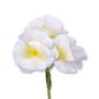 White Phlox Boutonniere Buttonhole Flower Fort Belvedere