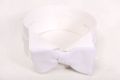 White Tie in Marcella Pique Bow Tie Single End Small on collar - Fort Belvedere