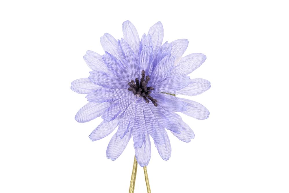 Light Blue Chicory Boutonniere Buttonhole Flower Fort Belvedere