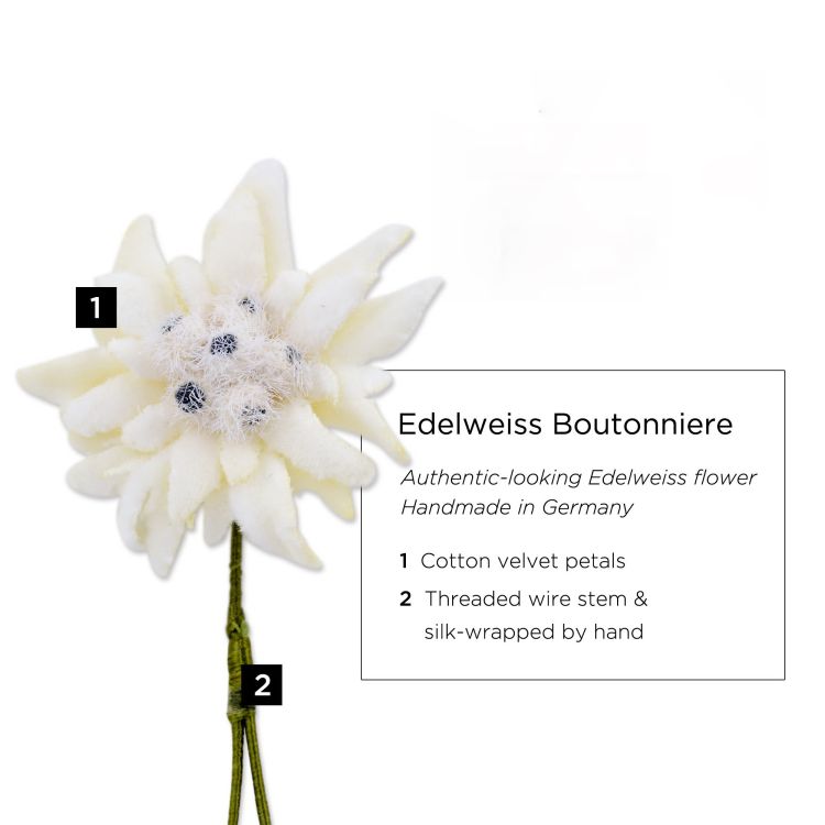 Edelweiss Boutonniere Buttonhole Flower Fort Belvedere