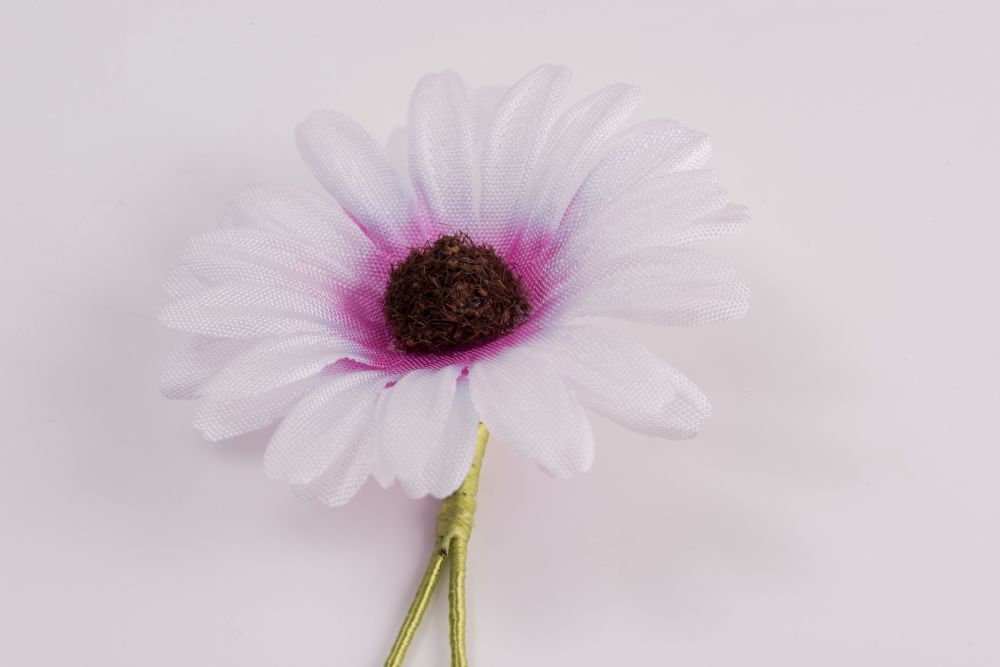 White and Pink Marguerite Boutonniere Buttonhole Flower Fort Belvedere