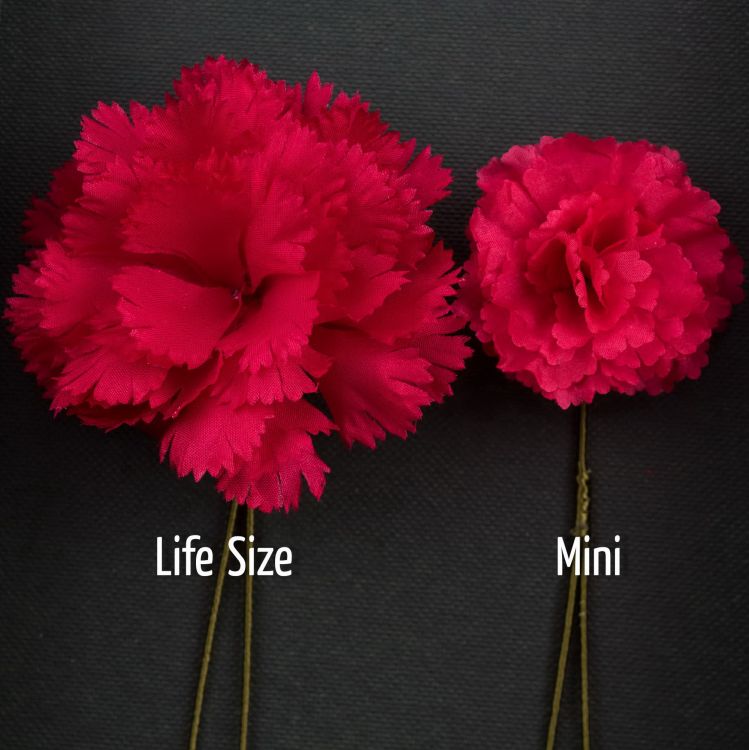 Red Carnations - Life Size and Mini Boutonniere