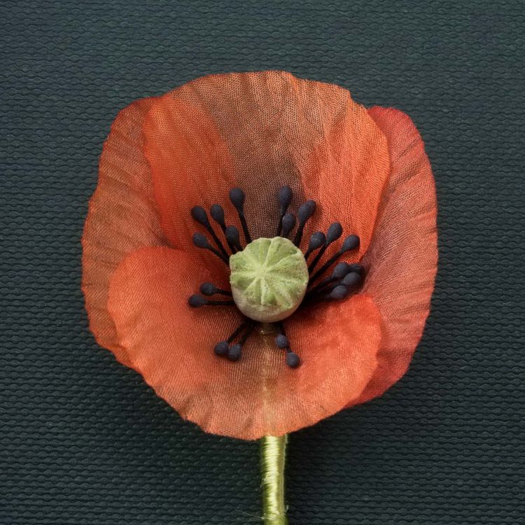 Orange Poppy Boutonniere Small by Fort Belvedere