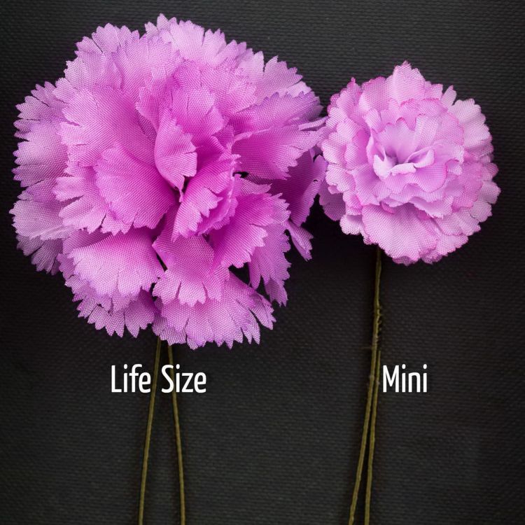 Life Size and Mini Pink Carnation Boutonnieres