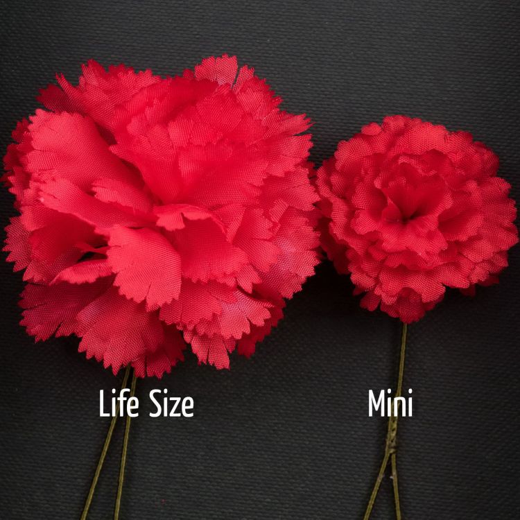 Red Carnations: Life-Size and Mini