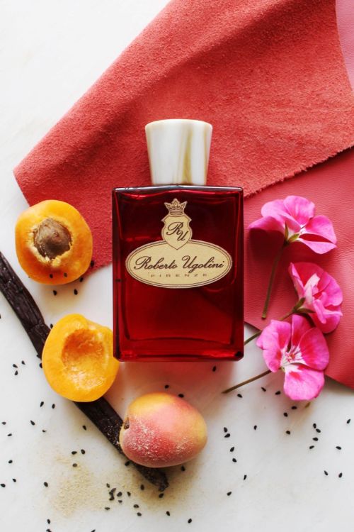 Kitten Heel Fragrance by Roberto Ugolini flacon layflat with fruit, leather, blossoms and other ingredients