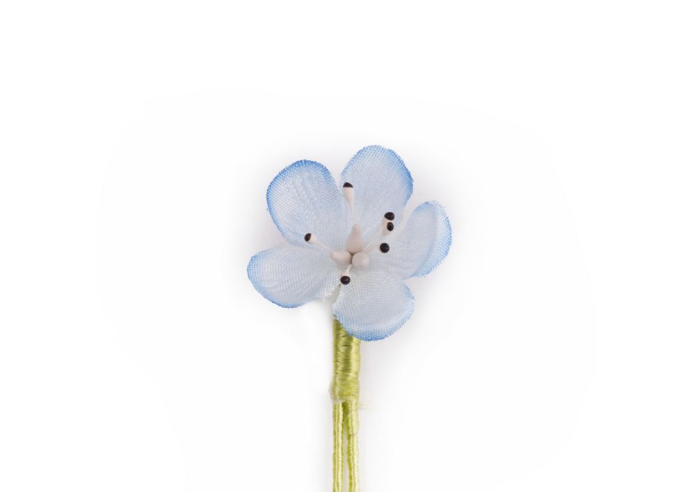 Light Blue Veronica Persica Boutonniere Buttonhole Flower Fort Belvedere